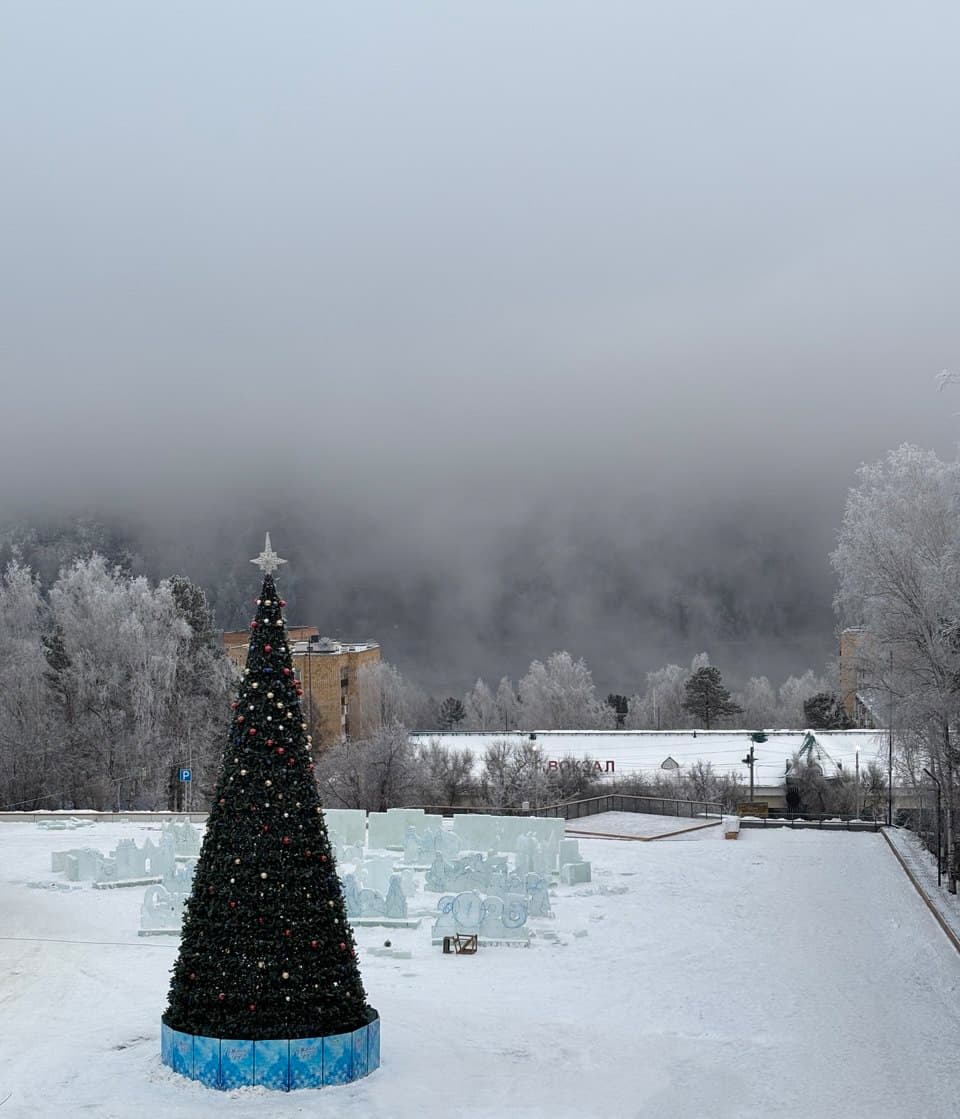 Общий вид площадки с городской ёлкой и ледовым ансамблем днём